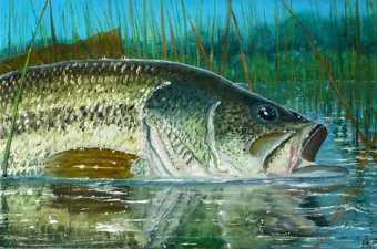 Vibrations of Water and Nature