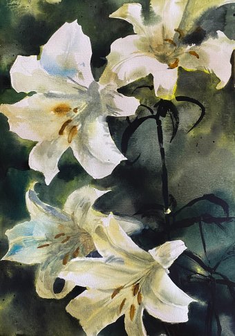 Dance of lilies on green