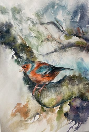 Pittura "Uccello su un ramo", pittore Maria Mandis acquerello carta alla Jose Art Gallery