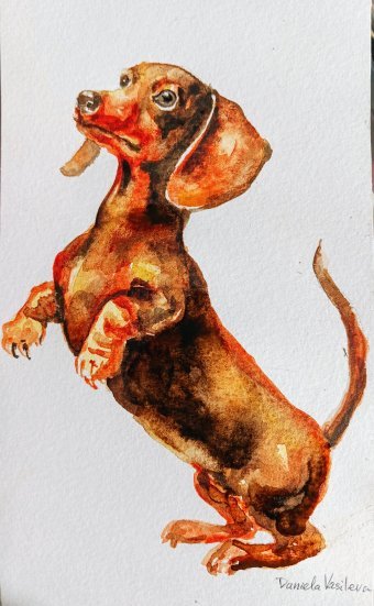Weiner Whirl