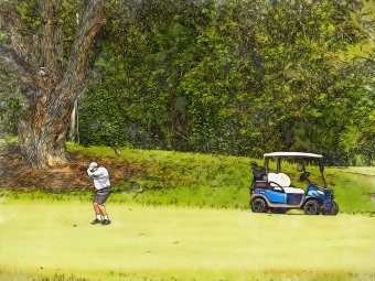 Спокій на зеленому: хвилина спокою