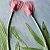 Drops of love bas-relief of flowers – buy