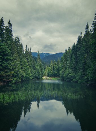 Фотография "Приближение грозы", фотограф Roman Dolgikh в Jose Art Gallery