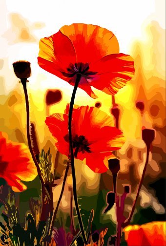 Цифрове мистецтво "Маки на вечірньому сонці", цифровий художник Viktor Levchenko в Jose Art Gallery