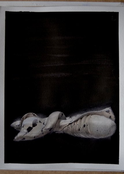 Additional view 1: Contemporary Art Still-Life Painting 16/20 Surreal Seashell by painter Mysterious Easel watercolor paper 