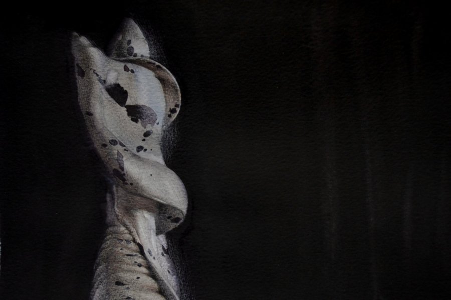 Additional view 2: Contemporary Art Still-Life Painting 16/20 Surreal Seashell by painter Mysterious Easel watercolor paper 