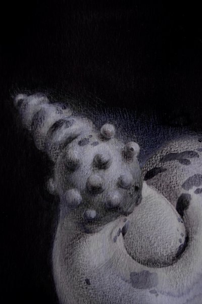 Additional view 1: Contemporary Art Still-Life Painting 17/20 - Surreal Seashell Shape by painter Mysterious Easel watercolor paper 