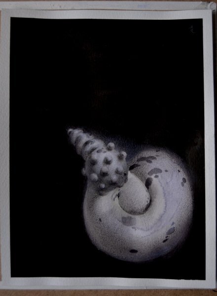 Additional view 2: Contemporary Art Still-Life Painting 17/20 - Surreal Seashell Shape by painter Mysterious Easel watercolor paper 