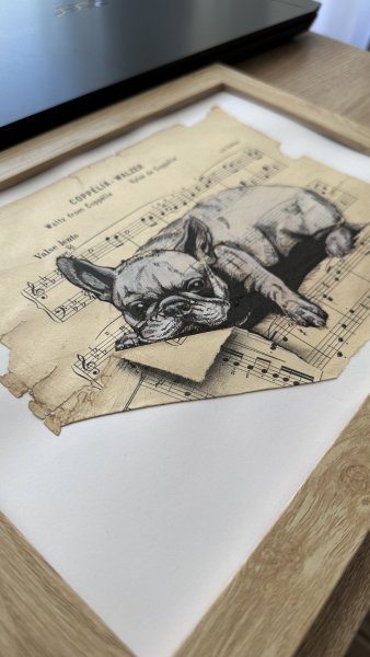 Additional view 4: Fine Art Animal Drawing French Bulldog Dog Lover Gift by illustrator Julia Shilo drawing ink paper 