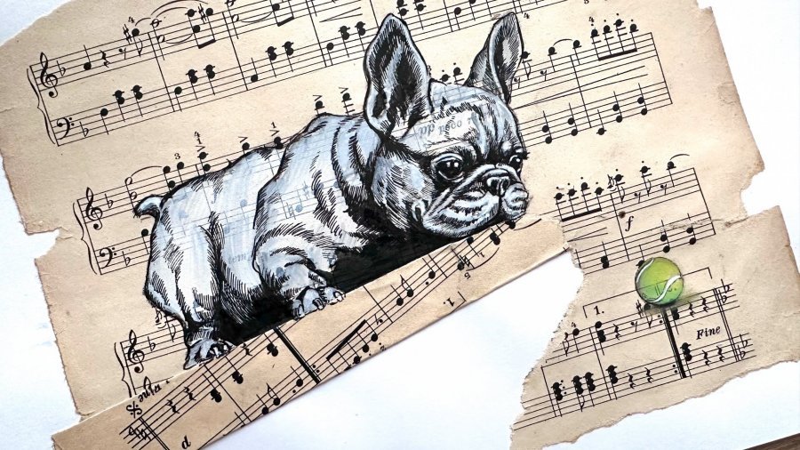 Imagen adicional 4: Arte pop Animalista Gráfico "Bulldog francés y arte pop con pelota", ilustrador Julia Shilo tinta papel 