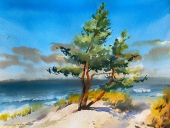 A sea of light and peace