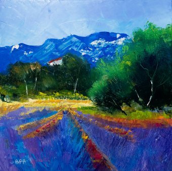 Lands of Provence VIII