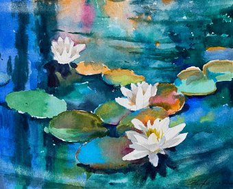 Water lilies: Water lilies on the surface of the water