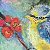 Color Flight – buy