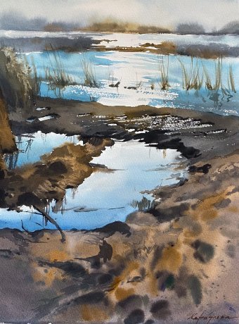 Light Over the Estuary