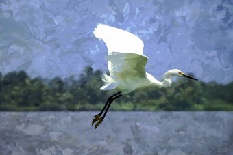 Підвішений момент