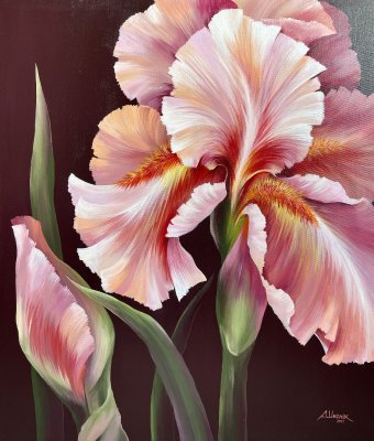 Painting "Gentle Iris on Burgundy" by painter Anna Shkolik acrylic canvas at Jose Art Gallery