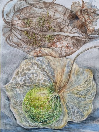 Живопись "Физалис", живописец Марина Бура акварель бумага в Jose Art Gallery