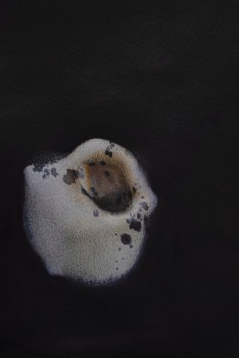 20/20 - Original Watercolour P