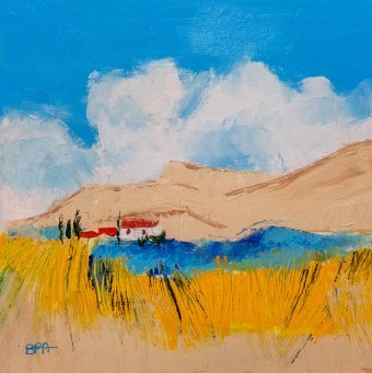 Lands of Provence: Eternal Beauty