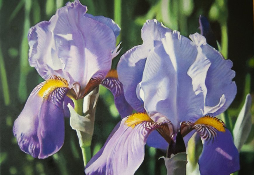 Immagine aggiuntiva 2: Fotorealismo Floreale Pittura "Iris Bloom: Arte fotorealistica", pittore Valeri Tsvetkov olio tela 
