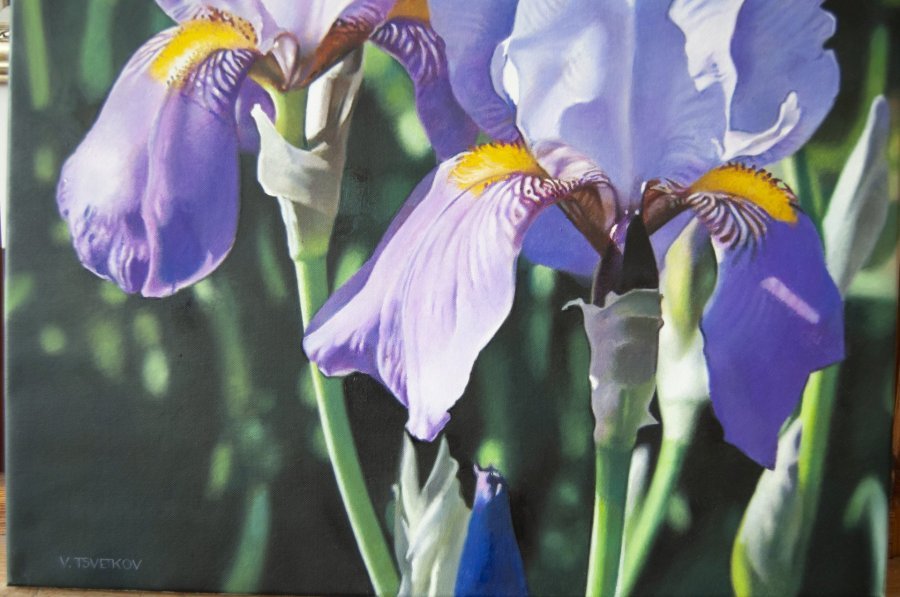 Immagine aggiuntiva 3: Fotorealismo Floreale Pittura "Iris Bloom: Arte fotorealistica", pittore Valeri Tsvetkov olio tela 