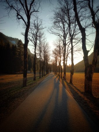 Photographie "ᰜ ᰜ ᰜ", photographe Roman Dolgikh à la Jose Art Gallery