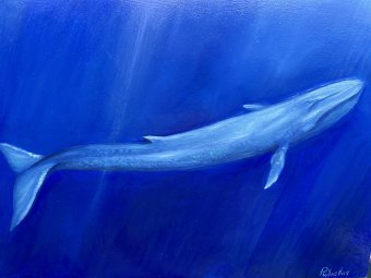 Живопись "Синий кит в глубинах океана", живописец Степан Рибкевич масло картон в Jose Art Gallery