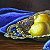 Lemons on a tray – painting