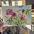 Дешеветь лепесток — painting