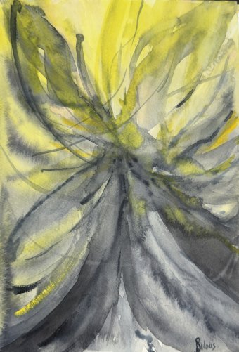 The Nameless Form: Harmony of Light and Shadow
