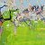 Spring garden – buy online