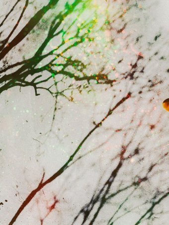 Fotografia "Iluzja", fotograf Alyona Voronova w Jose Art Gallery