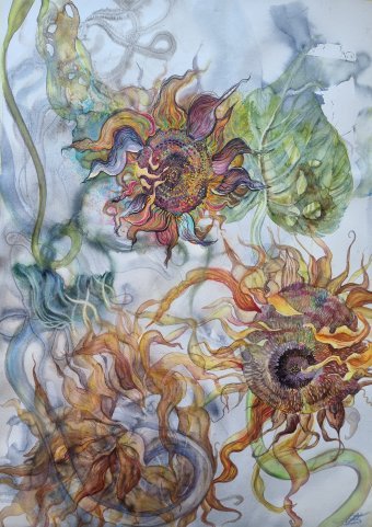 Графика "Акварель Подсолнечник", иллюстратор Марина Бура акварель бумага в Jose Art Gallery