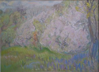 Les jardins sont en fleurs.