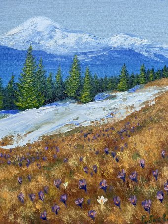 Malerei "Schöne Krokusblüten blühen", maler/-in Stepan Ribkevich Öl Karton in der Jose Art Gallery