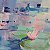 Water lilies – buy