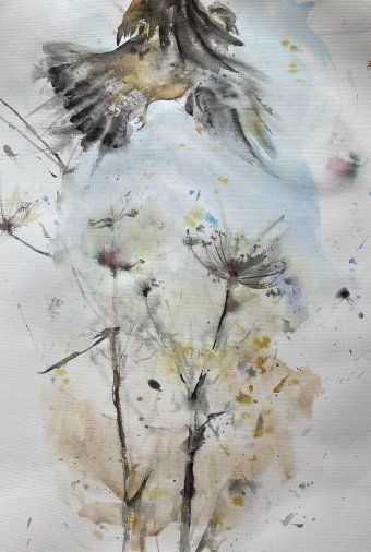 Pintura "Cernícalo en danza", pintor Vera Minina acuarela papel en Jose Art Gallery