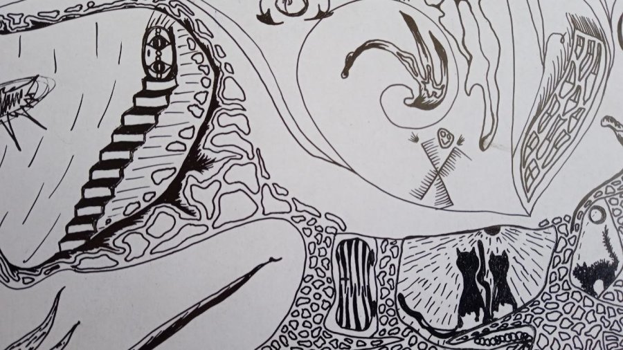Immagine aggiuntiva 3: Surrealismo Genere Grafica "Labirinto delle emozioni", illustratore Nana penna stilografica cartone 