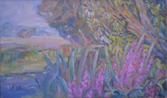 Matin au bord de la rivière : jeu de textures et de lumière