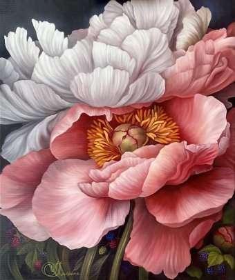 Il silenzio delle peonie