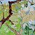 Apple Orchard – order