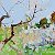 Apple Orchard – buy online