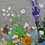 Wildflowers – buy