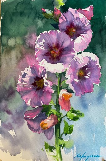 Mallow: Peace and Beauty of Nature