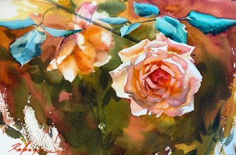 Tea rose: The glowing plant