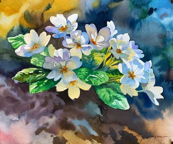 Primrose: the tenderness of the first spring flowers