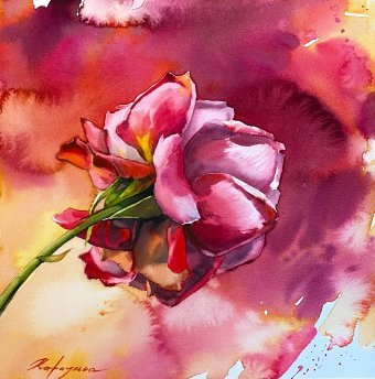 Rose: the tenderness of pink petals