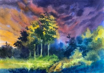 Painting "A summer meadow illuminated by a headlight" by painter Oleksandra Karaulna watercolor paper at Jose Art Gallery