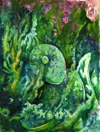 A shell from my forest